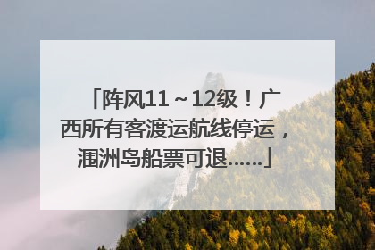 阵风11～12级！广西所有客渡运航线停运，涠洲岛船票可退……