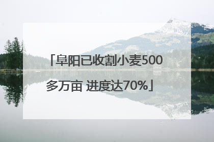 阜阳已收割小麦500多万亩 进度达70%