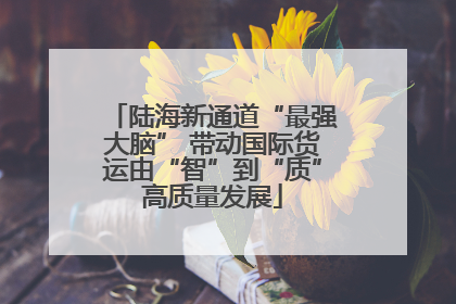 陆海新通道“最强大脑” 带动国际货运由“智”到“质”高质量发展