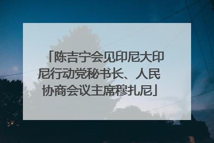 陈吉宁会见印尼大印尼行动党秘书长、人民协商会议主席穆扎尼