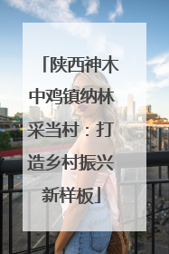 陕西神木中鸡镇纳林采当村：打造乡村振兴新样板
