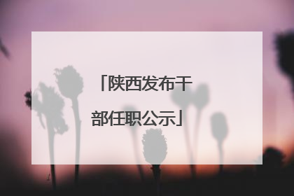 陕西发布干部任职公示