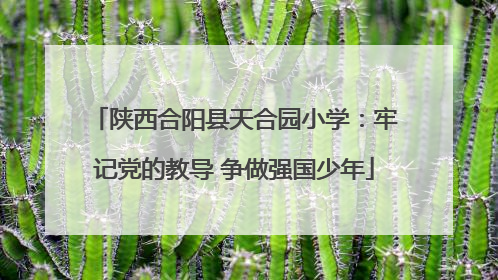 陕西合阳县天合园小学：牢记党的教导 争做强国少年