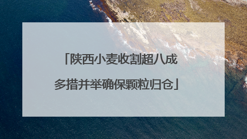 陕西小麦收割超八成 多措并举确保颗粒归仓