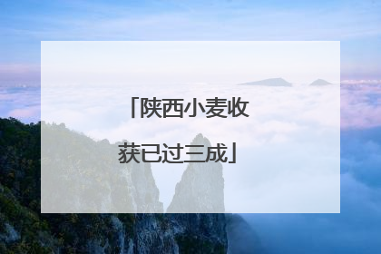 陕西小麦收获已过三成