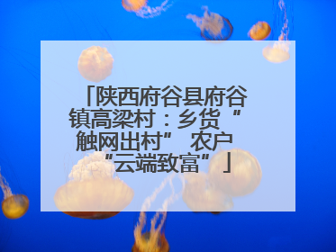 陕西府谷县府谷镇高梁村：乡货“触网出村” 农户“云端致富”