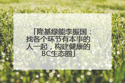 隆基绿能李振国：找各个环节有本事的人一起，构建健康的BC生态圈