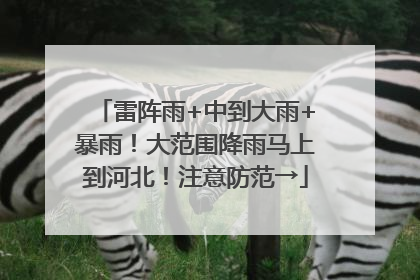雷阵雨+中到大雨+暴雨！大范围降雨马上到河北！注意防范→