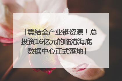 集结全产业链资源！总投资16亿元的临港海底数据中心正式落地