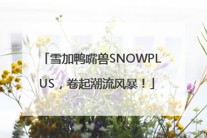 雪加鸭嘴兽SNOWPLUS，卷起潮流风暴！