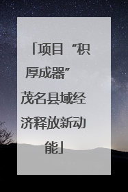 项目“积厚成器” 茂名县域经济释放新动能