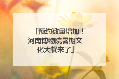 预约数量增加！河南博物院暑期文化大餐来了
