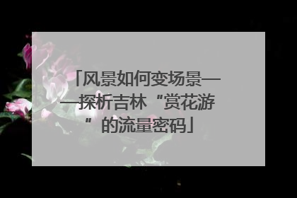 风景如何变场景——探析吉林“赏花游”的流量密码