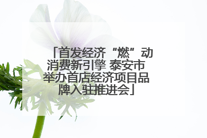 首发经济“燃”动消费新引擎 泰安市举办首店经济项目品牌入驻推进会