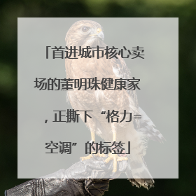 首进城市核心卖场的董明珠健康家，正撕下“格力=空调”的标签