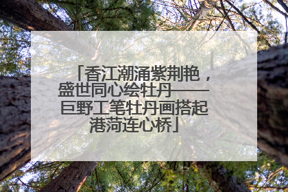 香江潮涌紫荆艳，盛世同心绘牡丹——巨野工笔牡丹画搭起港菏连心桥