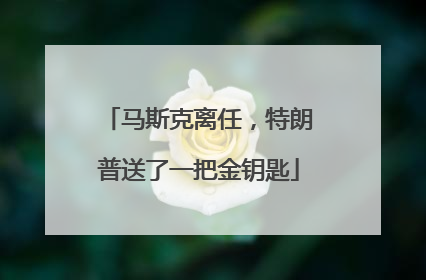 马斯克离任，特朗普送了一把金钥匙