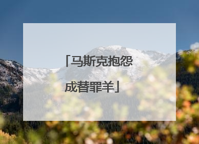 马斯克抱怨成替罪羊