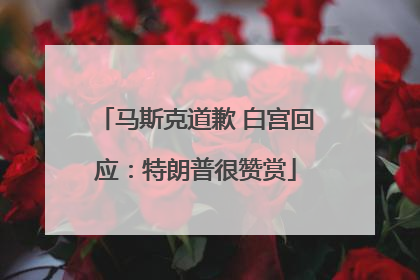 马斯克道歉 白宫回应：特朗普很赞赏
