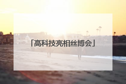 高科技亮相丝博会