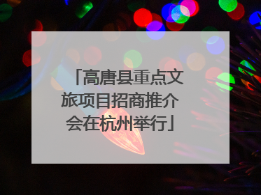 高唐县重点文旅项目招商推介会在杭州举行