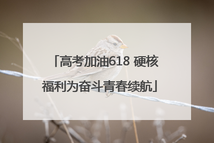 高考加油618 硬核福利为奋斗青春续航