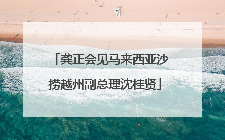 龚正会见马来西亚沙捞越州副总理沈桂贤