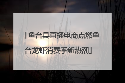 鱼台县直播电商点燃鱼台龙虾消费季新热潮