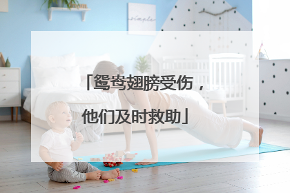 鸳鸯翅膀受伤，他们及时救助