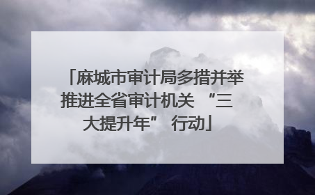 麻城市审计局多措并举推进全省审计机关 “三大提升年” 行动