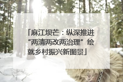 麻江坝芒：纵深推进“两清两改两治理”绘就乡村振兴新图景