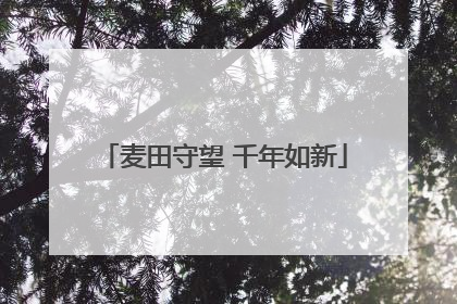 麦田守望 千年如新