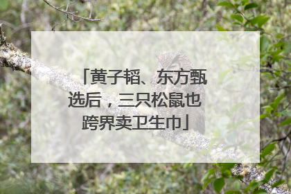 黄子韬、东方甄选后，三只松鼠也跨界卖卫生巾