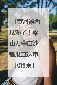 黄河滩西瓜熟了！梁山万余亩沙瓤瓜直达市民餐桌