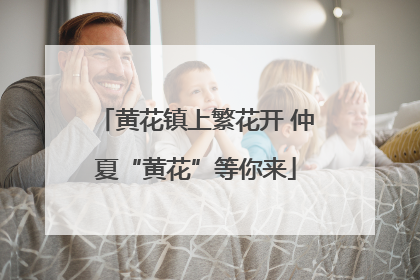 黄花镇上繁花开 仲夏“黄花”等你来