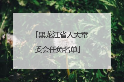 黑龙江省人大常委会任免名单