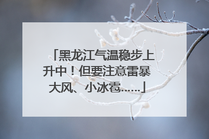 黑龙江气温稳步上升中！但要注意雷暴大风、小冰雹……
