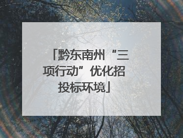 黔东南州“三项行动”优化招投标环境