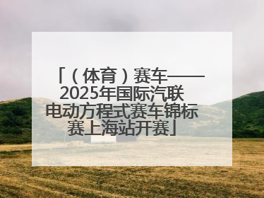 （体育）赛车——2025年国际汽联电动方程式赛车锦标赛上海站开赛