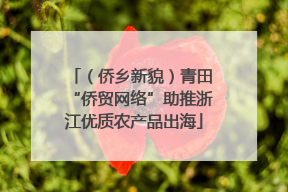 （侨乡新貌）青田“侨贸网络”助推浙江优质农产品出海