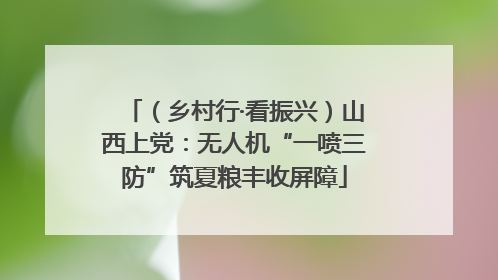 （乡村行·看振兴）山西上党：无人机“一喷三防”筑夏粮丰收屏障