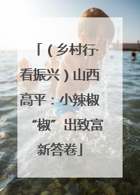 （乡村行·看振兴）山西高平：小辣椒“椒”出致富新答卷