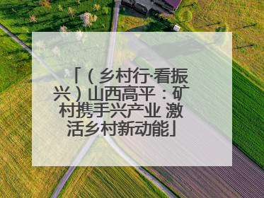 （乡村行·看振兴）山西高平：矿村携手兴产业 激活乡村新动能