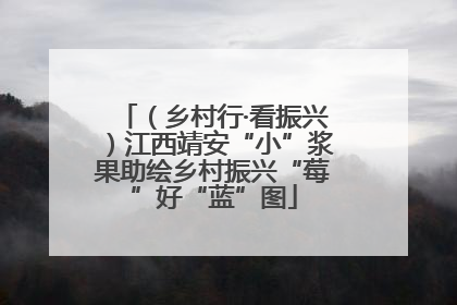 （乡村行·看振兴）江西靖安“小”浆果助绘乡村振兴“莓”好“蓝”图
