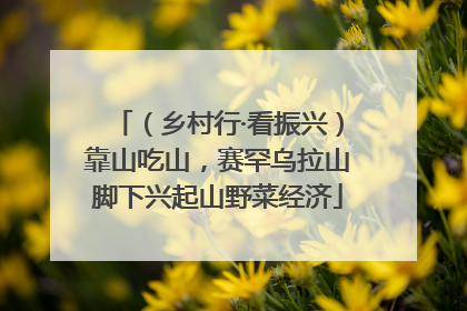 （乡村行·看振兴）靠山吃山，赛罕乌拉山脚下兴起山野菜经济