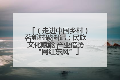 （走进中国乡村）茗新村破圈记：民族文化赋能 产业借势 “网红东风”