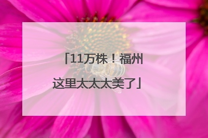 11万株！福州这里太太太美了