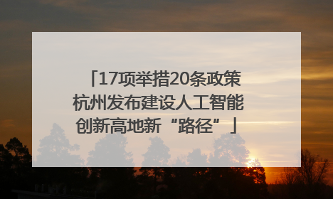 17项举措20条政策 杭州发布建设人工智能创新高地新“路径”