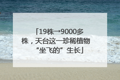 19株→9000多株，天台这一珍稀植物“坐飞的”生长
