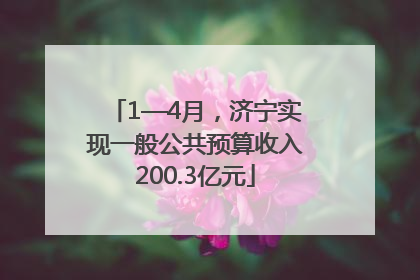 1—4月，济宁实现一般公共预算收入200.3亿元